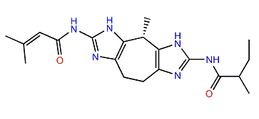 Zoamide E